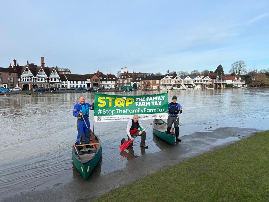 Definitely not messing about in boats