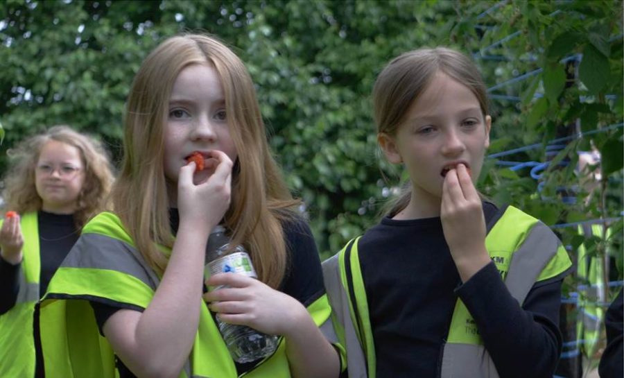 Medway pupils connect with local farmers and producers