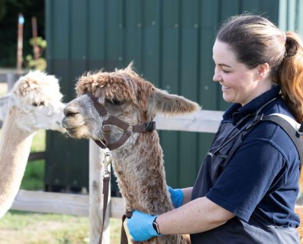 Female farm vet appointed new President of the Society of Practising Veterinary Surgeons