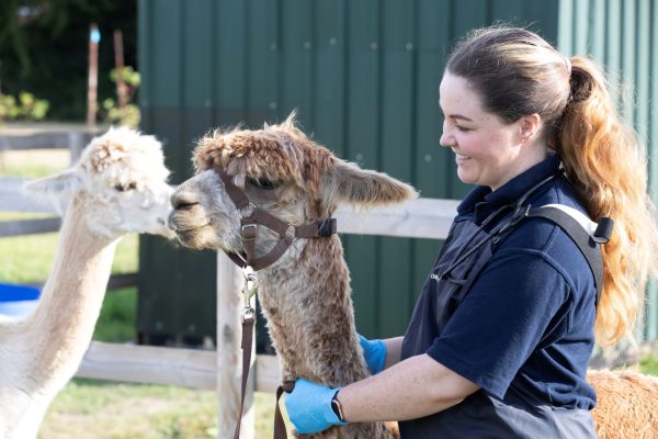 Female farm vet appointed new President of the Society of Practising Veterinary Surgeons